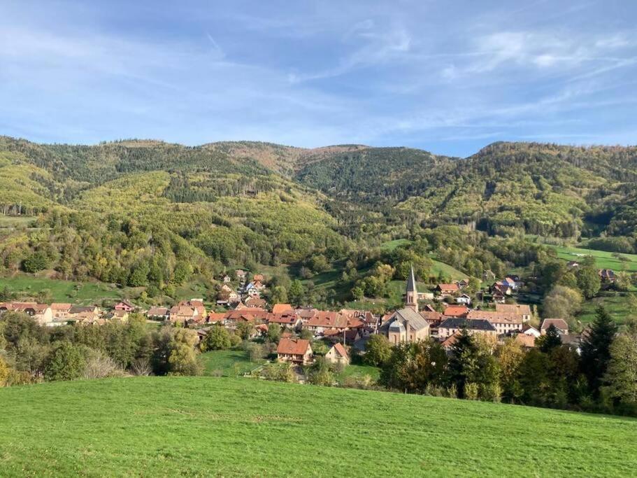 Logement Chaleureux, Vallee De Ville Steige Екстер'єр фото